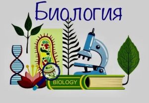Қызықты да қиын терминдер